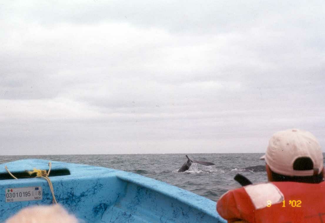 baja30.jpg