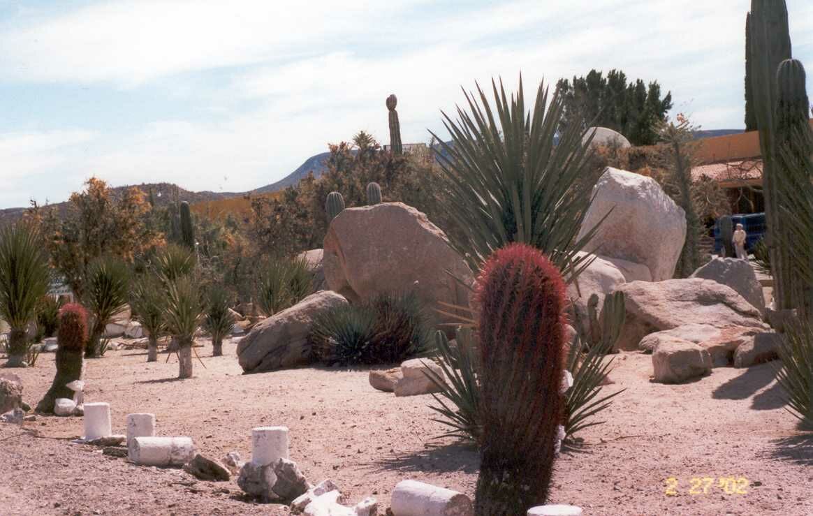 baja36.jpg